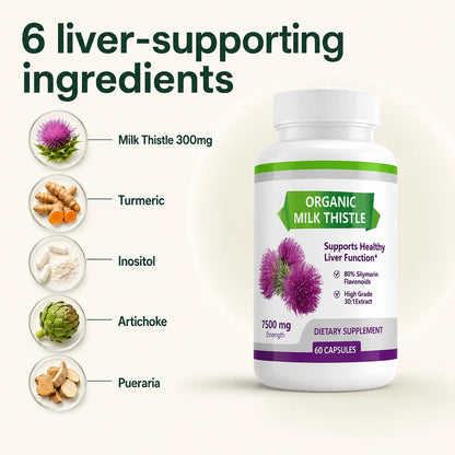 Hush Liver Reset™ — Milk Thistle 80% Silymarin Complex