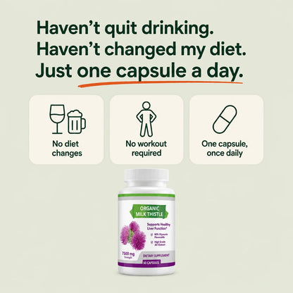 Hush Liver Reset™ — Milk Thistle 80% Silymarin Complex